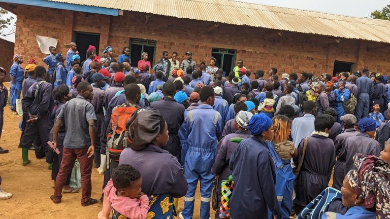 Projet STEP II : Bâtir l’avenir socio-économique des communautés à Kabukungu/Kamituga dans le territoire de Mwenga.